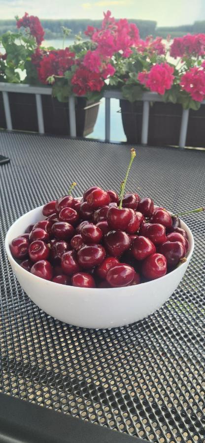 Къща За Гости Ненийски Lom Dış mekan fotoğraf